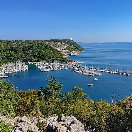 Camping Village Mare Pineta 4*