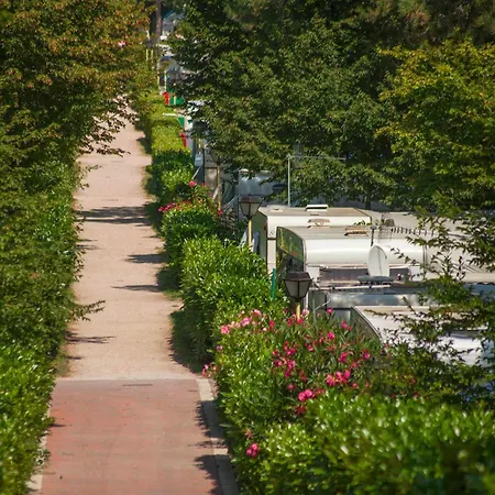 캠프장 Village Mare Pineta 4*