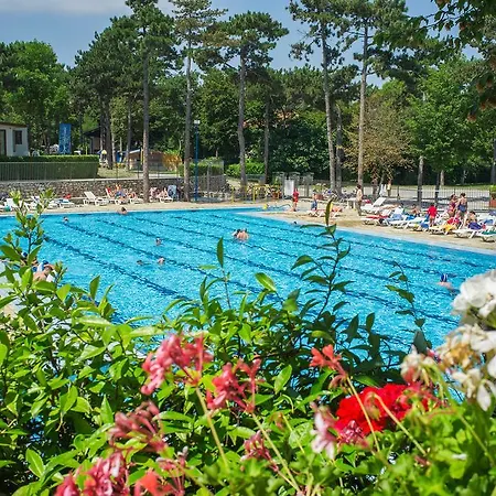 Village Mare Pineta Kemp 4*